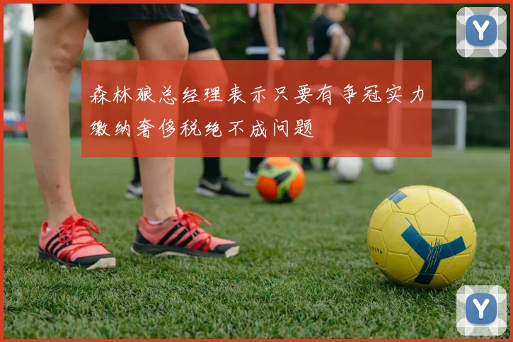 森林狼总经理表示只要有争冠实力缴纳奢侈税绝不成问题